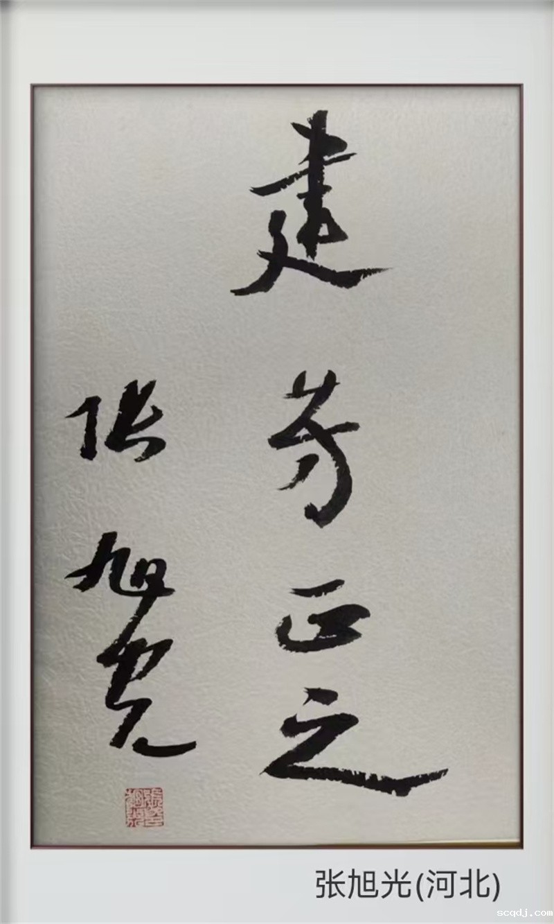 185张旭光 (2).jpg